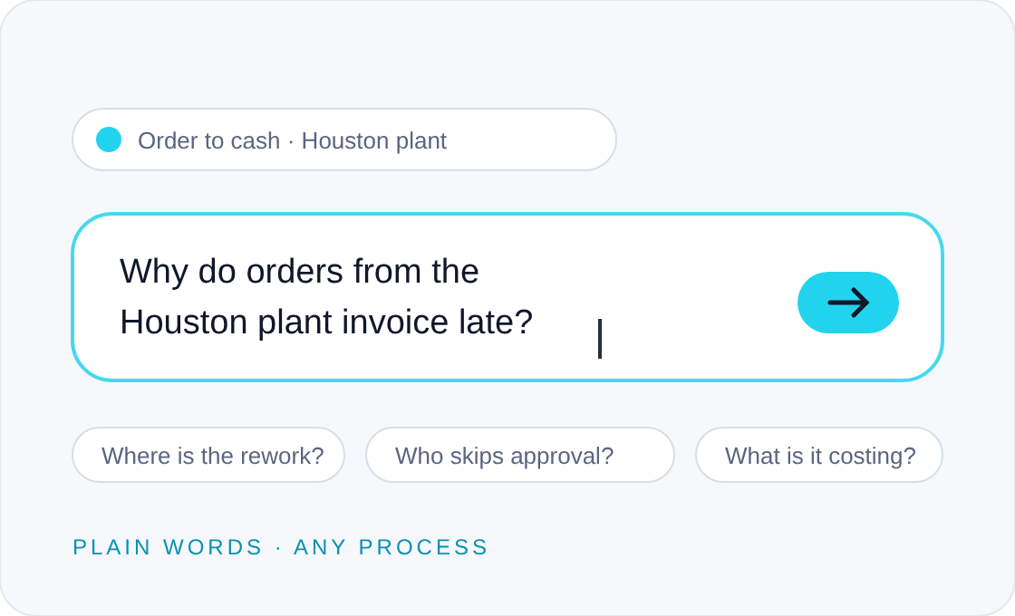 Ask a plain-language question about a process